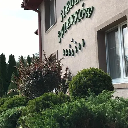 Siedem świerków